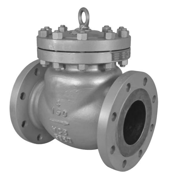 Check-Valves-Manufacturer-In-India